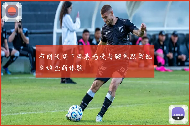 布朗谈场下观赛感受与獭兔默契配合的全新体验